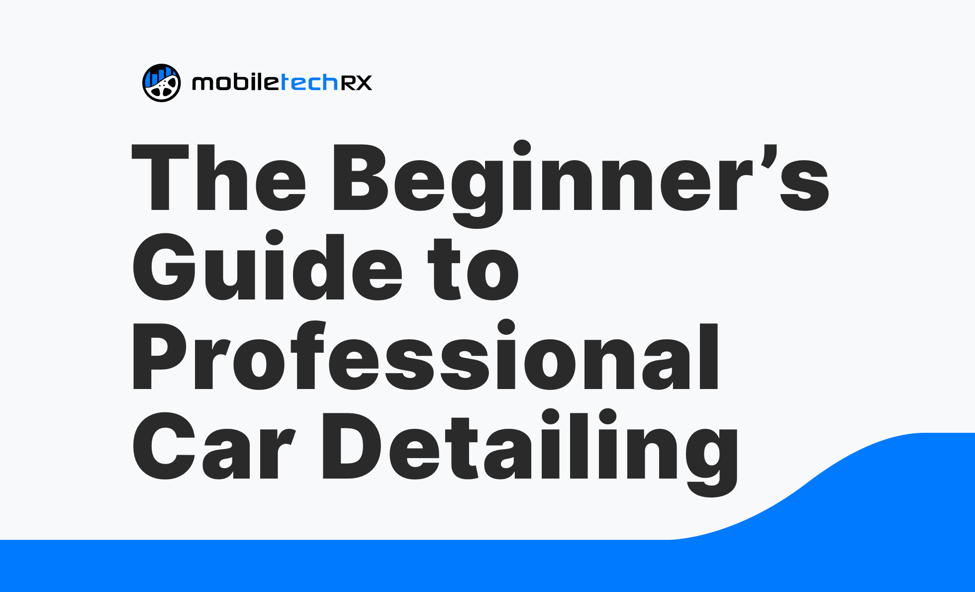 The Beginner%E2%80%99s Guide to Professional Car Detailing 1